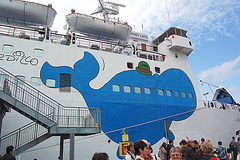 DSC 4162