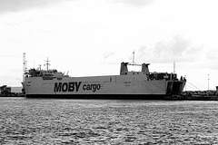 Moby cargo - Moby (Dick) kun kargo / Moby cargo: Moby (Dick) mit Last