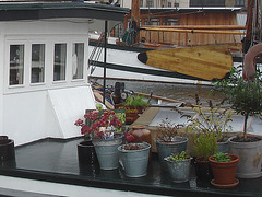 Le Roxy /   Roxy boat -  Copenhagen.  26-10-2008