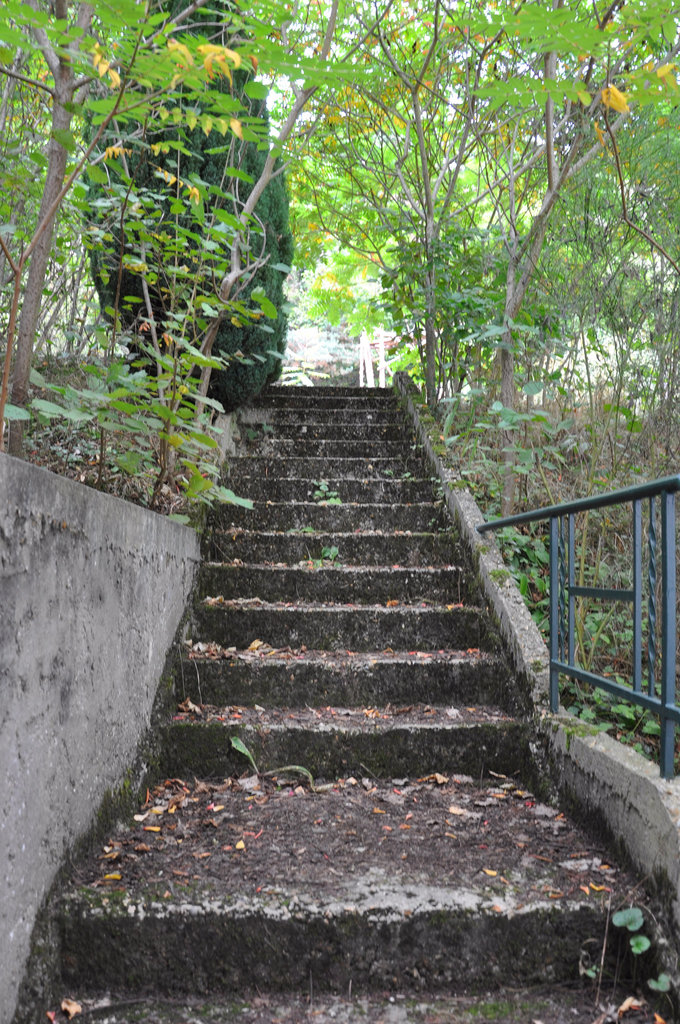 ESCALIER DU JARDIN