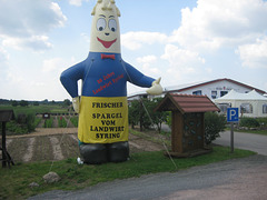 Spargelhof Seyring in Zauchwitz