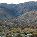 Little San Bernardinos (0034)