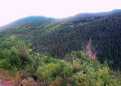 Montes del valle de Salazar (Navarra)