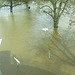2006-04-05 075 Hochwasser
