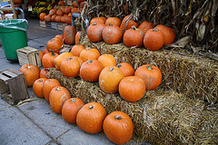 01.WholeFoodsMarket.1440P.NW.WDC.8October2009