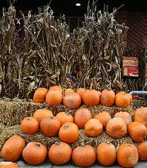 04.WholeFoodsMarket.1440P.NW.WDC.8October2009