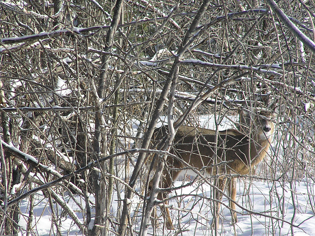 I'm hiding.