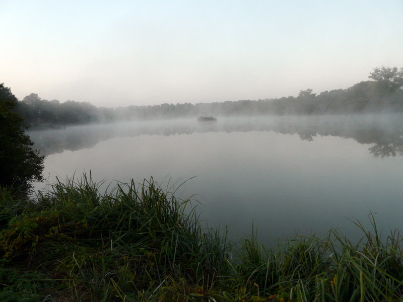 brume sur l'étang