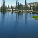 On The Trail to May Lake - Raisin Lake (9)