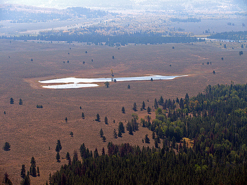 Cow Lake Viewed From Signal Mountain (1496)