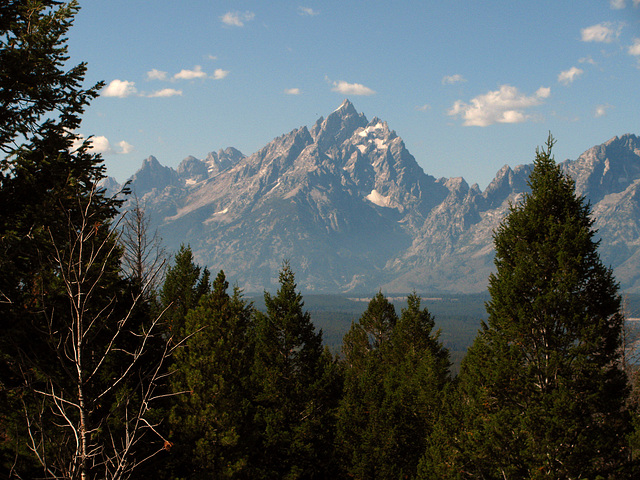 Grand Teton (1502)