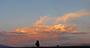 Grand Teton N.P. (1487)
