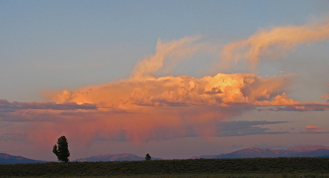 Grand Teton N.P. (1488)