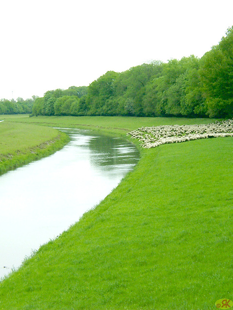 2005-05-21 13 Domholzschänke