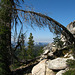 Half Dome From May Lake (0819)