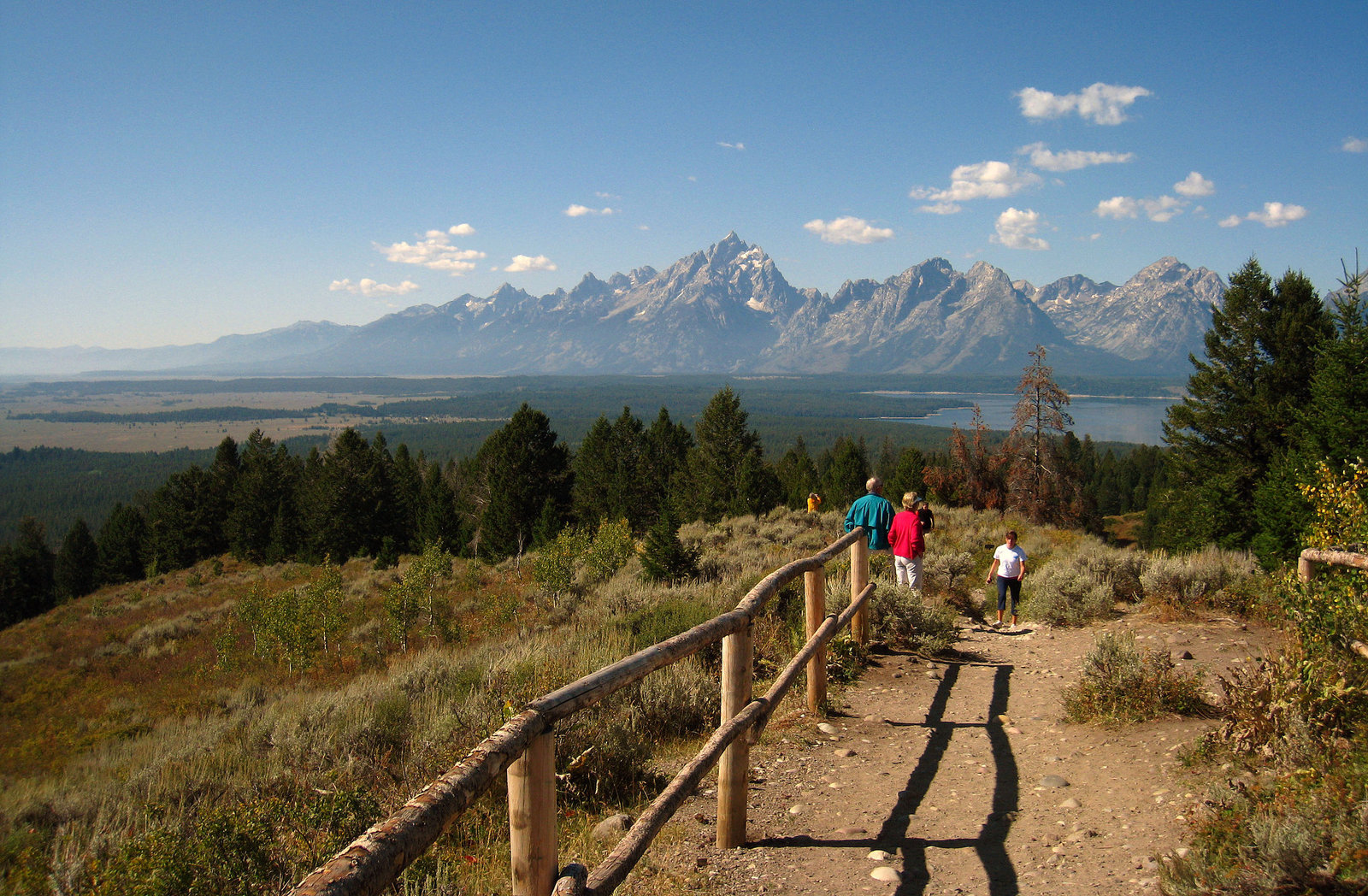 Signal Mountain View Of The Teton Range (3652)