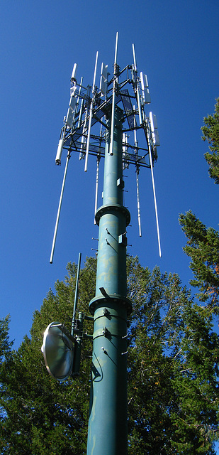 Signal Mtn. Tower (3657)