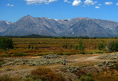 Strolling On Willow Flats (1493)