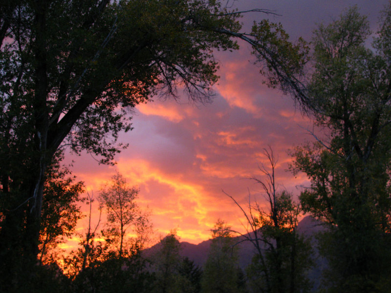 Sunset in Grand Teton N.P. (1600)