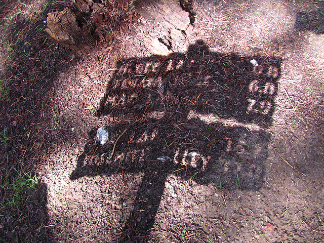 On The Trail to May Lake (0737)