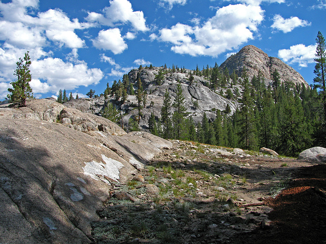 On The Trail to May Lake (0744)