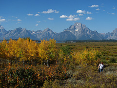 Teton Range - Willow Flats (1491)