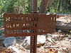 On The Trail to May Lake (0754)