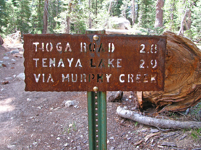 On The Trail to May Lake (0756)