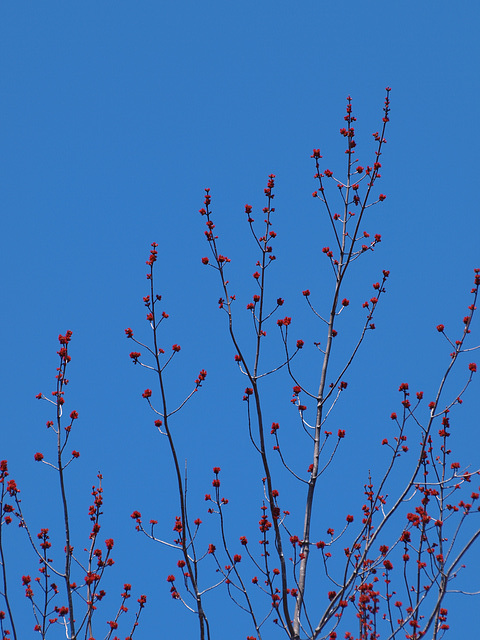 red on blue