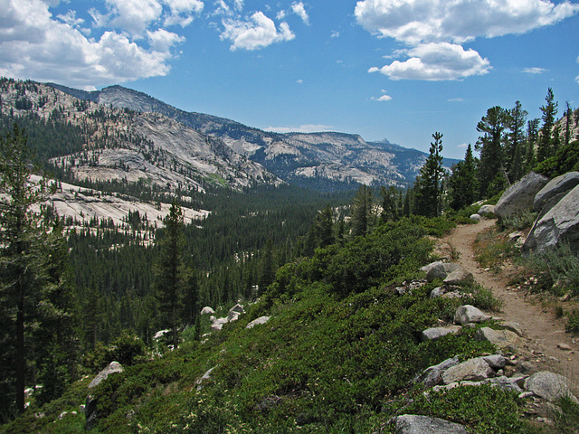 On The Trail to May Lake (0760)