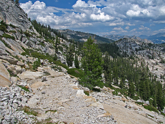 On The Trail to May Lake (0761)