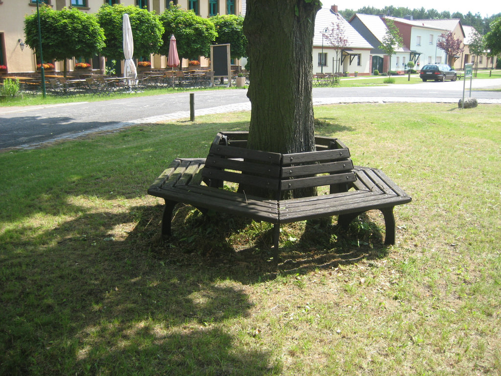 Rieben - Bank im Schatten