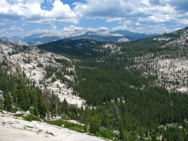 On The Trail to May Lake (0763)