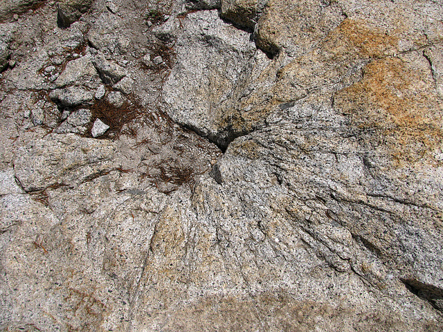 On The Trail to May Lake (0764)