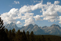 Tetons (1510)