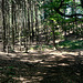 Panoramaweg - Bad Schandau - Lichtenhainer Wasserfall