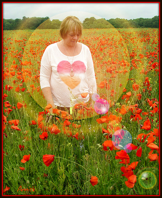 le bonheur est dans le champ de coquelicots