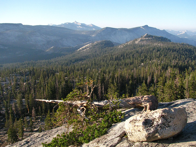 Sunrise From May Lake (0807)