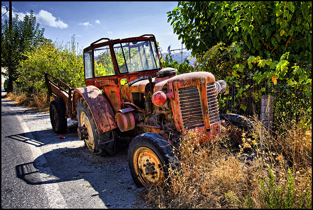 treasures at the roadside