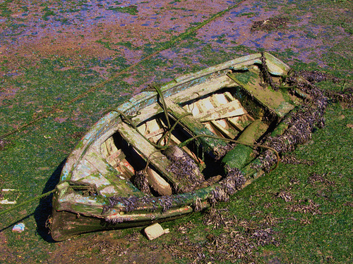 Decay