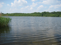 Dobbrikow - Bauernsee
