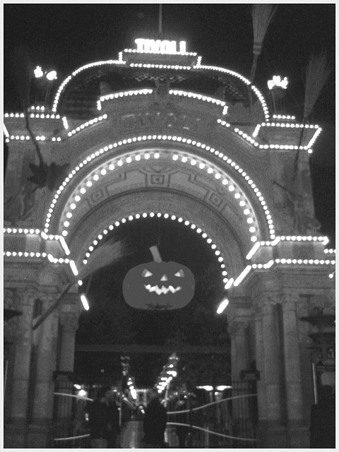 La citrouille d'Halloween Tivoli / Tivoli park pumpkin.  Copenhague.  19 octobre 2008.   -   N & B
