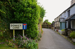 Donkey Lane, Ugborough