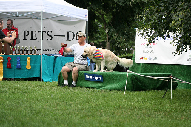 55.PrideOfPetsFunDogShow.Dupont.WDC.21June2009