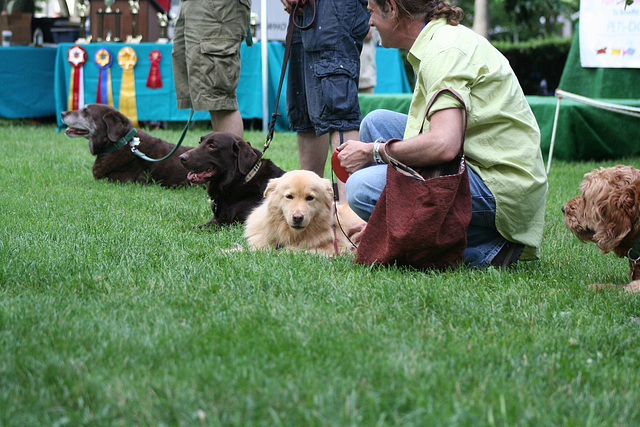 57.PrideOfPetsFunDogShow.Dupont.WDC.21June2009