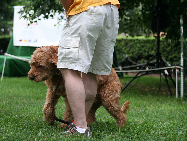 58.PrideOfPetsFunDogShow.Dupont.WDC.21June2009