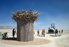 Bird Nest (0357)