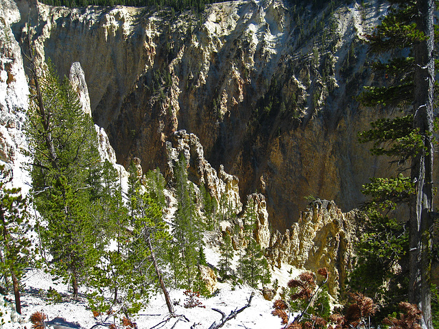 Grand Canyon of the Yellowstone River (4160)