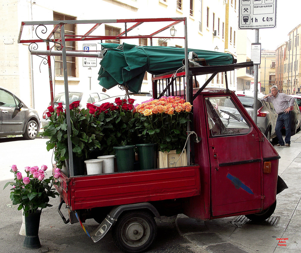Flower cart