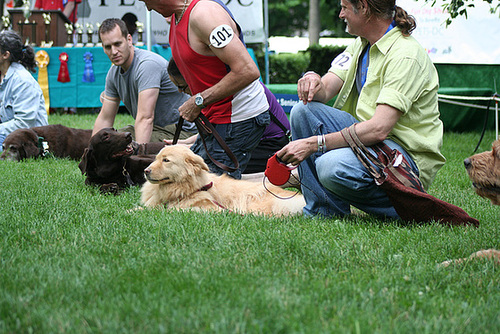 62.PrideOfPetsFunDogShow.Dupont.WDC.21June2009